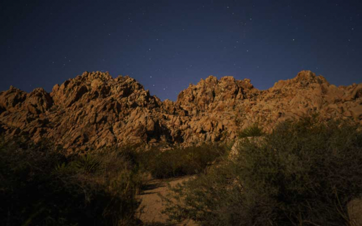 joshua tree national park at night